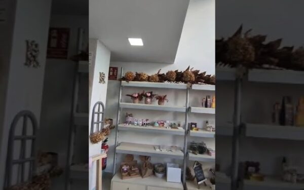 Alquiler de locales en Irun: Todo lo que necesitas saber