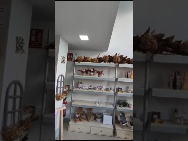 Alquiler de locales en Irun: Todo lo que necesitas saber